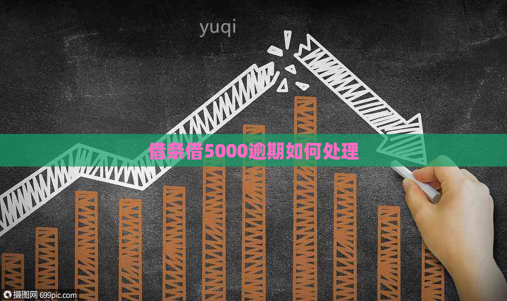 借条借5000逾期如何处理
