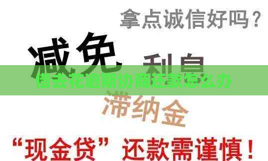 借去花逾期协商还款怎么办