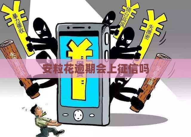 安粒花逾期会上吗