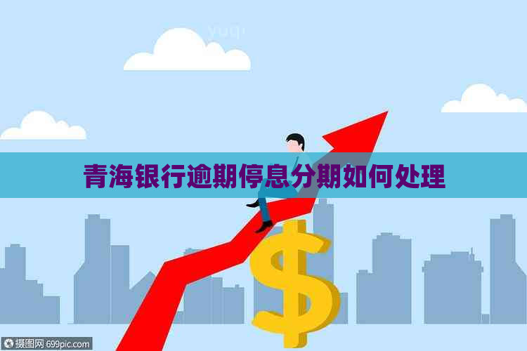 青海银行逾期停息分期如何处理