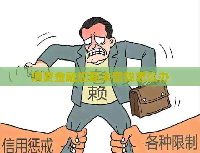 消费金融逾期未借钱怎么办