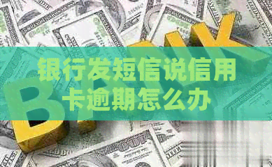 银行发短信说信用卡逾期怎么办