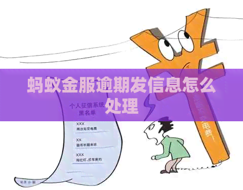 蚂蚁金服逾期发信息怎么处理