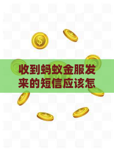 收到蚂蚁金服发来的短信应该怎么处理