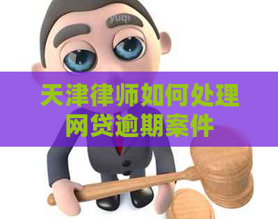 天津律师如何处理网贷逾期案件