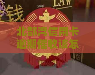 北部湾信用卡逾期该怎么办