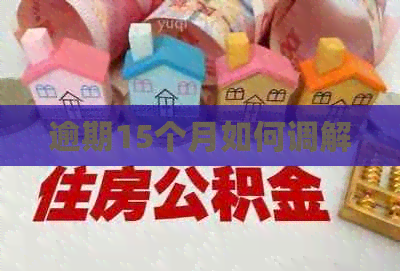 逾期15个月如何调解