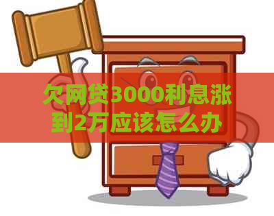 欠网贷3000利息涨到2万应该怎么办
