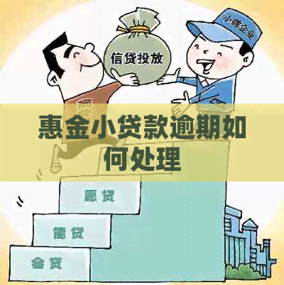 惠金小贷款逾期如何处理
