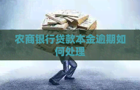 农商银行贷款本金逾期如何处理