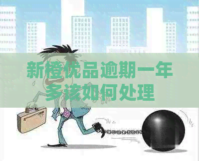 新橙优品逾期一年多该如何处理
