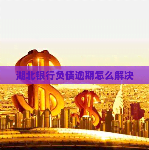 湖北银行负债逾期怎么解决