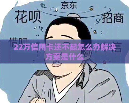 22万信用卡还不起怎么办解决方案是什么
