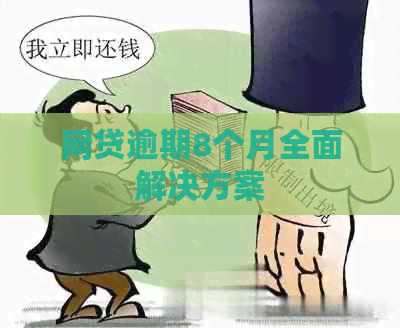 网贷逾期8个月全面解决方案