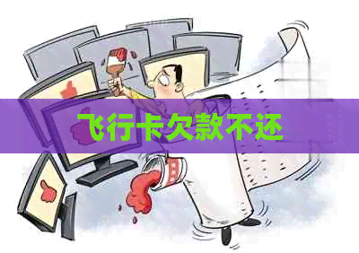 飞行卡欠款不还