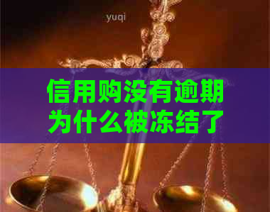 信用购没有逾期为什么被冻结了