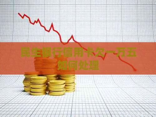 民生银行信用卡欠一万五如何处理