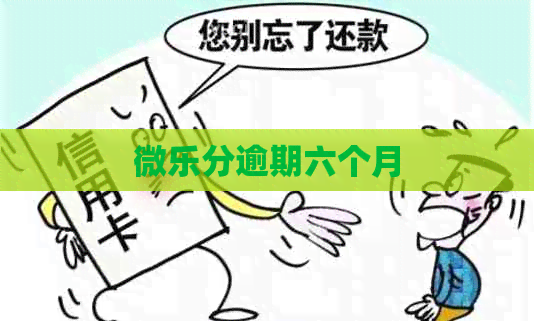 微乐分逾期六个月