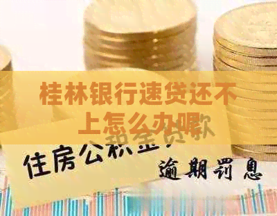 桂林银行速贷还不上怎么办呢