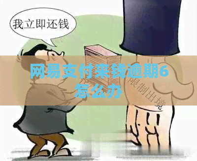 网易支付来钱逾期6怎么办