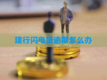 建行闪电贷逾期怎么办