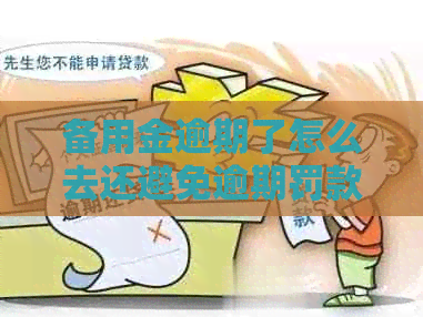 备用金逾期了怎么去还避免逾期罚款