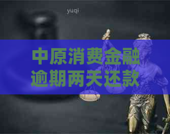 中原消费金融逾期两天还款会怎么样
