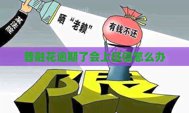 普融花逾期了会上怎么办