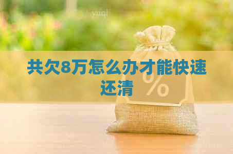共欠8万怎么办才能快速还清