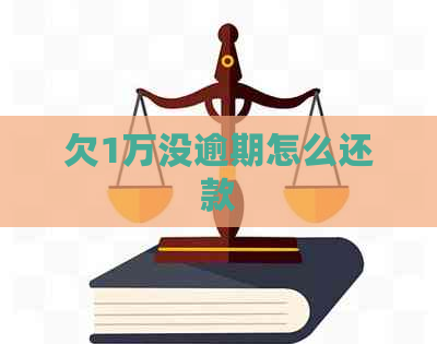 欠1万没逾期怎么还款