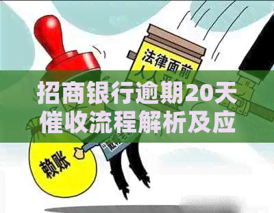 招商银行逾期20天流程解析及应对策略
