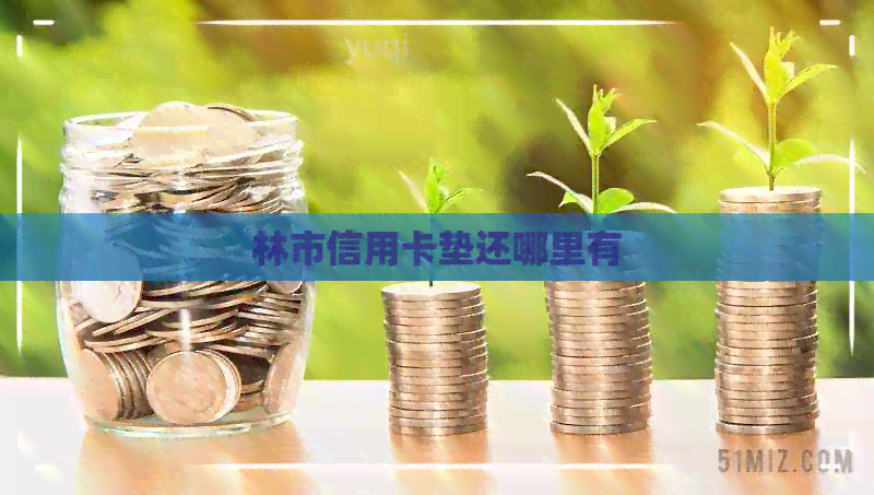 林市信用卡垫还哪里有