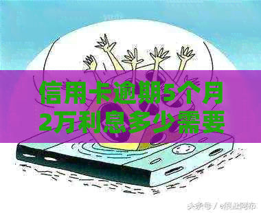 信用卡逾期5个月2万利息多少需要缴纳