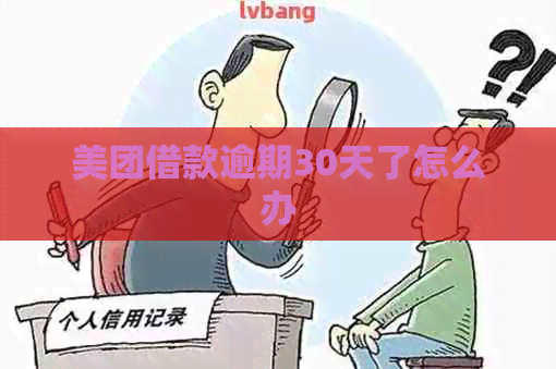 美团借款逾期30天了怎么办