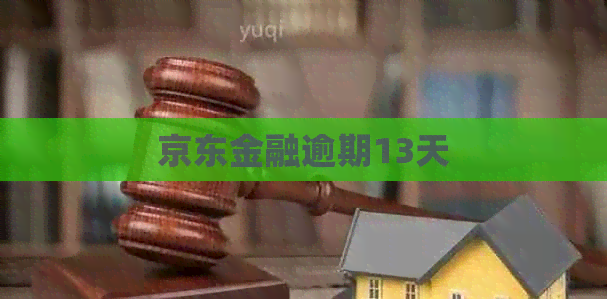 京东金融逾期13天