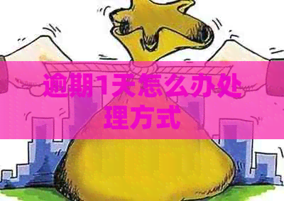 逾期1天怎么办处理方式