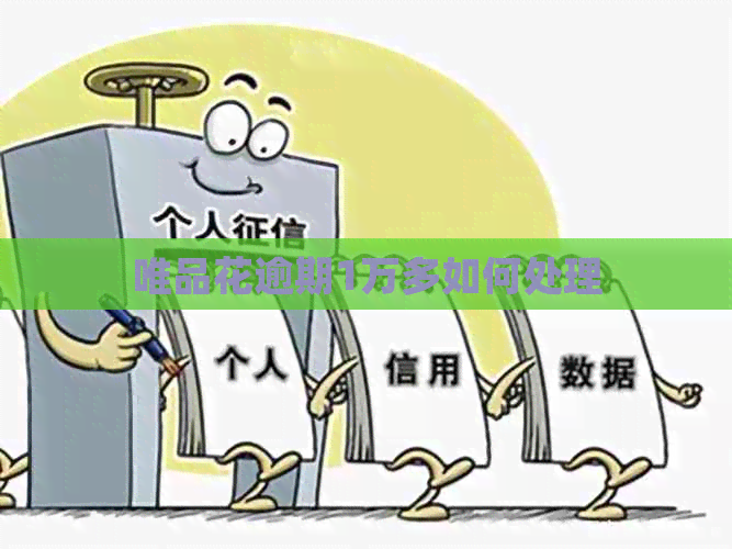唯品花逾期1万多如何处理