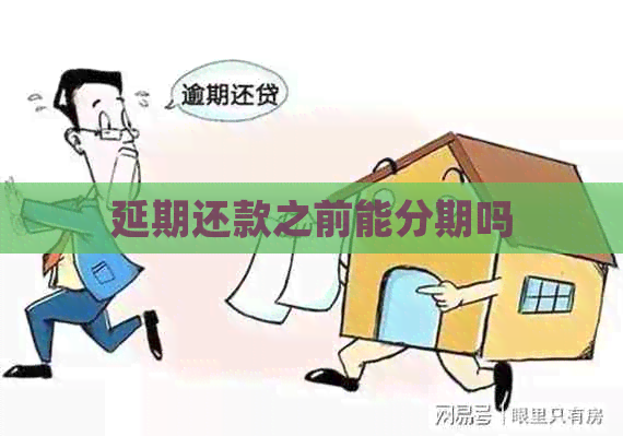 延期还款之前能分期吗
