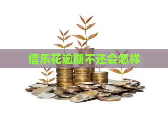 借乐花逾期不还会怎样
