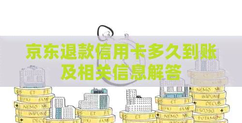 京东退款信用卡多久到账及相关信息解答