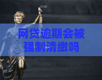 网贷逾期会被强制清缴吗
