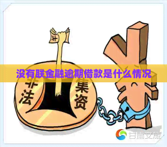 没有联金融逾期借款是什么情况