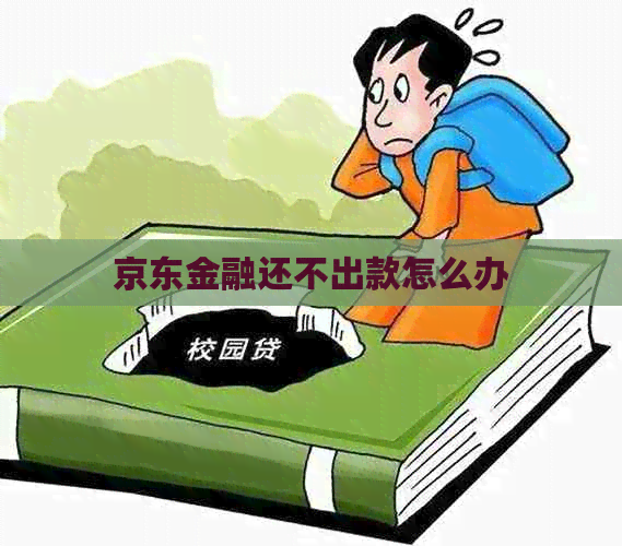 京东金融还不出款怎么办