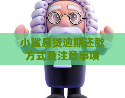 小鲨易贷逾期还款方式及注意事项