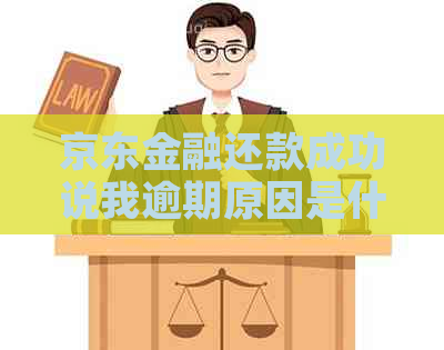 京东金融还款成功说我逾期原因是什么