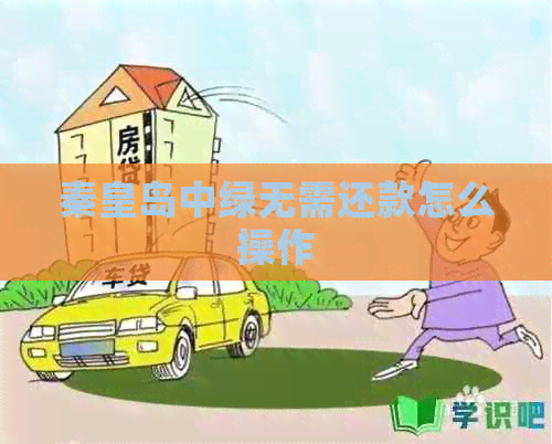 秦皇岛中绿无需还款怎么操作