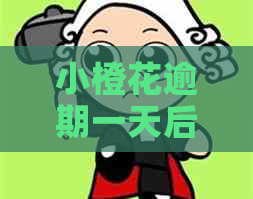 小橙花逾期一天后利息怎么算
