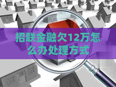招联金融欠12万怎么办处理方式