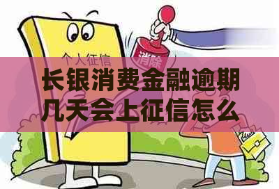 长银消费金融逾期几天会上怎么办