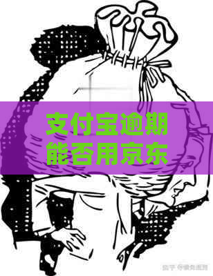 信用卡逾期能否用京东还款